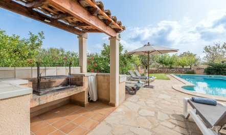 The Little Seashell 4