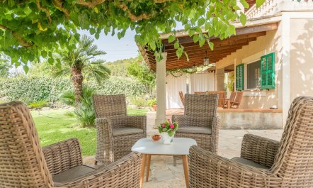 The Little Seashell 5