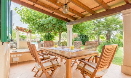 The Little Seashell 1