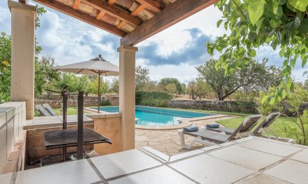 The Little Seashell 3