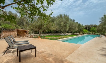 Forever in our Love 2