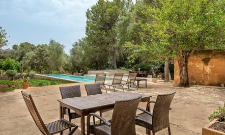 Forever in our Love 4