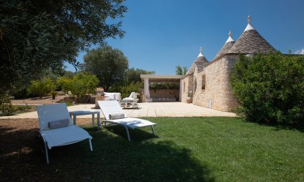 Ancient Walls & Olives