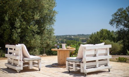 Ancient Walls & Olives 3