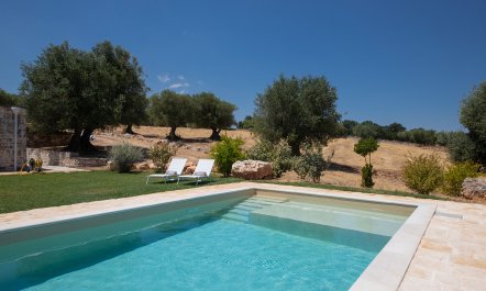 Ancient Walls & Olives 2