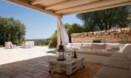 Ancient Walls & Olives 4