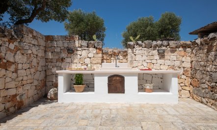 Ancient Walls & Olives 8