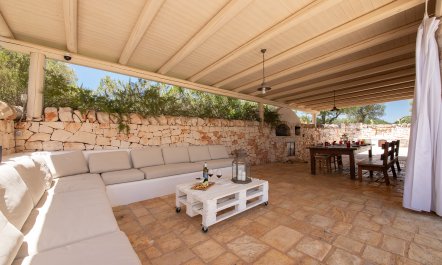 Ancient Walls & Olives 6