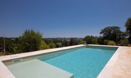 Ancient Walls & Olives 1