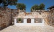 Ancient Walls & Olives 8