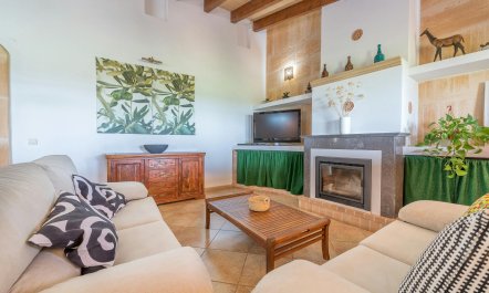 The Mountain Shade 9