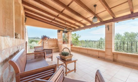 The Mountain Shade 4