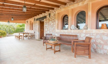 The Mountain Shade 7