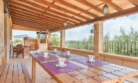 The Mountain Shade 6