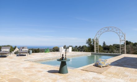 Olive Tree Abode