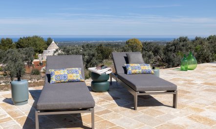 Olive Tree Abode 5