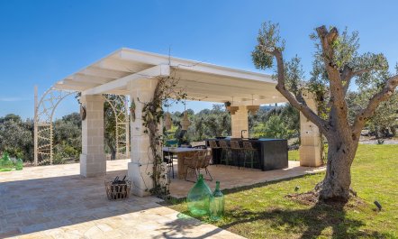 Olive Tree Abode 1