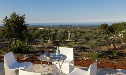 Olive Tree Abode 6
