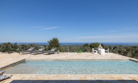 Olive Tree Abode 2