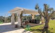 Olive Tree Abode 1