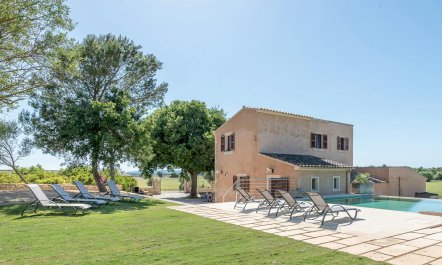 The Sun On My Shoulder 4