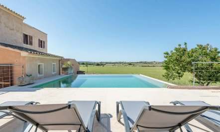 The Sun On My Shoulder 1