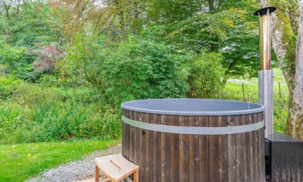 Nature&rsquo;s Fairest Forms 5