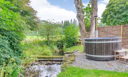 Nature&rsquo;s Fairest Forms 6