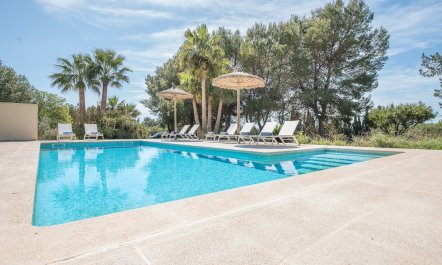 Splendour & Sunlight 2