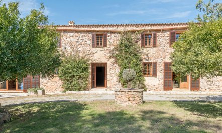 Splendour & Sunlight 1