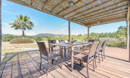 Splendour & Sunlight 5