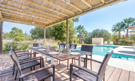 Splendour & Sunlight 3