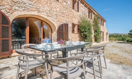 Splendour & Sunlight 4