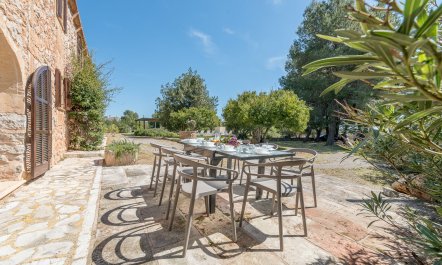 Splendour & Sunlight 6