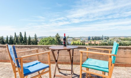 Splendour & Sunlight 8