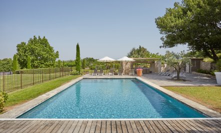 Lavender Fountains 1