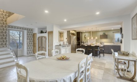 Lavender Fountains 8