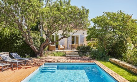 Bougainvillea & Jasmine