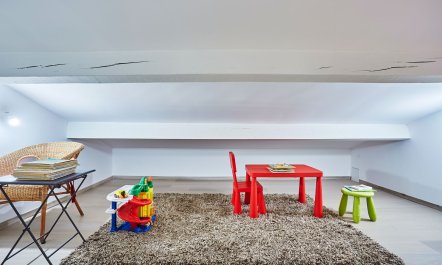 Bougainvillea & Jasmine 4