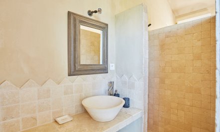 Bougainvillea & Jasmine 2