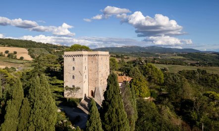 The Light of Grace 2