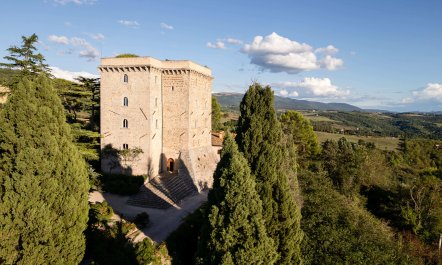 The Light of Grace 1