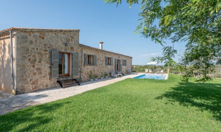 The Pure Light of Nature 4