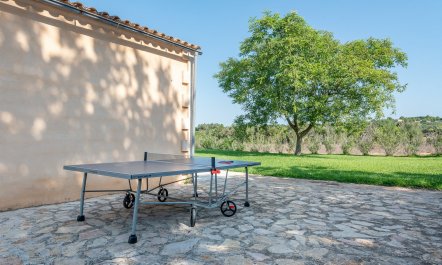 The Pure Light of Nature 6