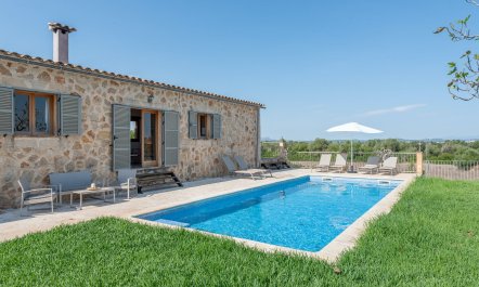 The Pure Light of Nature 2