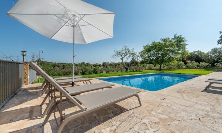 The Pure Light of Nature 3