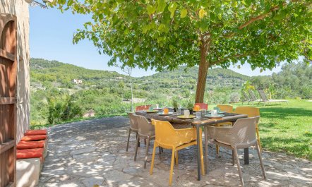 The Sagrada Familia 8