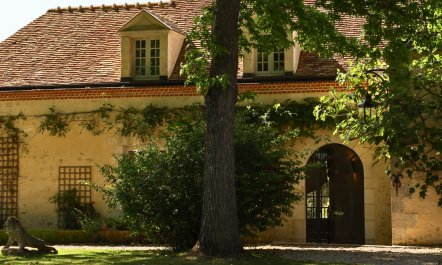 Lavender and Ivy 1