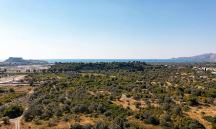 Aegean & Mountain Vistas 1