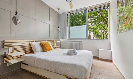 Peaceful Parisian Vista 1